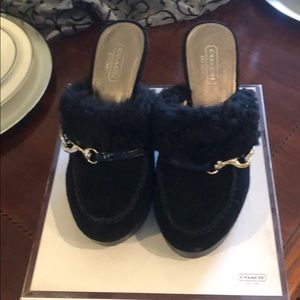 Coach black suede mules